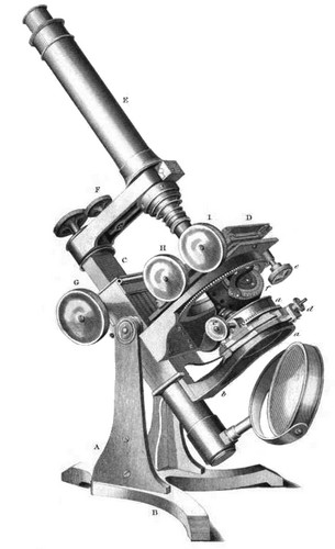 Large Ross Microscope 1855